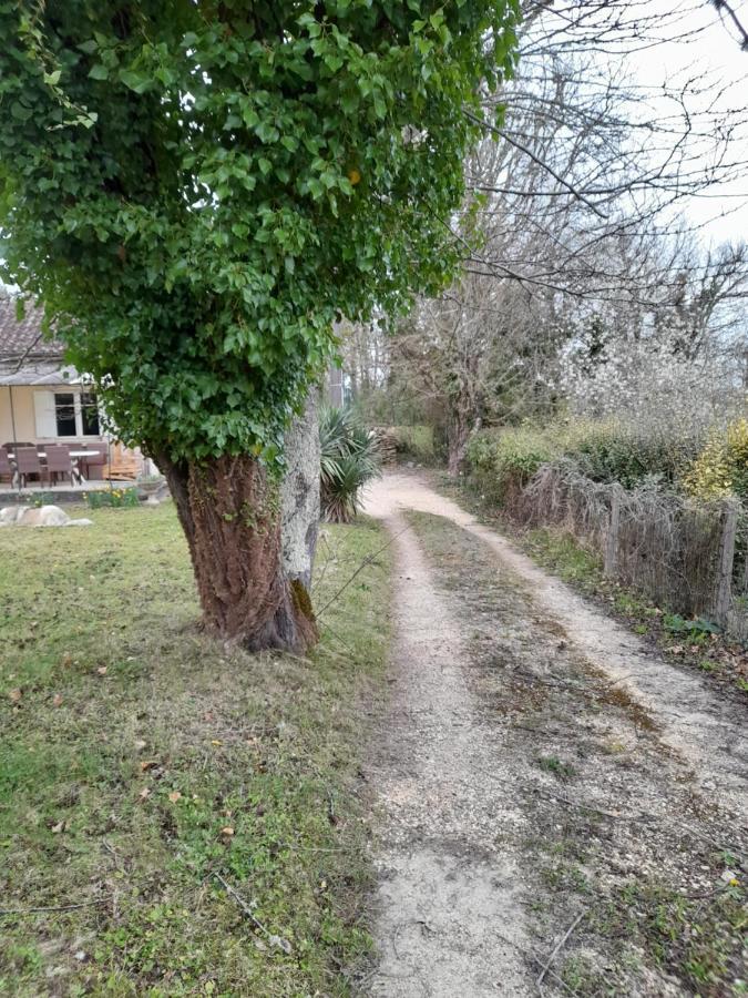 Maison Dans Ecrin De Verdure En Perigord Noir Saint-Cyprien  Εξωτερικό φωτογραφία